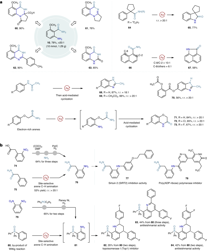 南開/天大，重磅Nature Catalysis！實(shí)現(xiàn)高度鄰位選擇性的催化合成新策略！