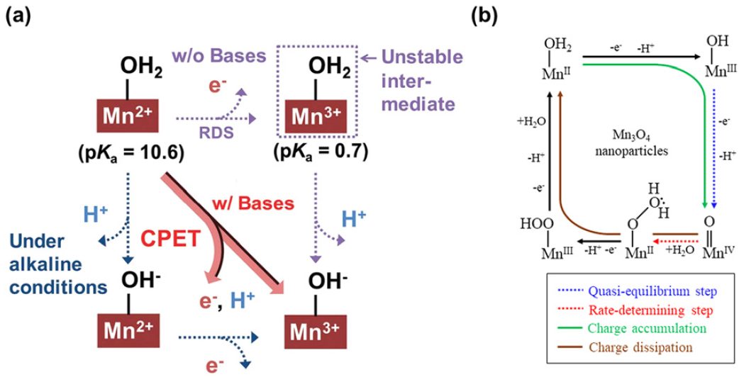 IF=46.2！Chem. Soc. Rev.最新綜述：過渡金屬基電催化劑OER各種機制！