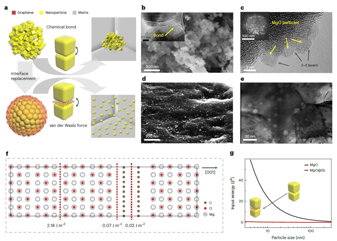 天津大學(xué)，重磅Nature Materials！