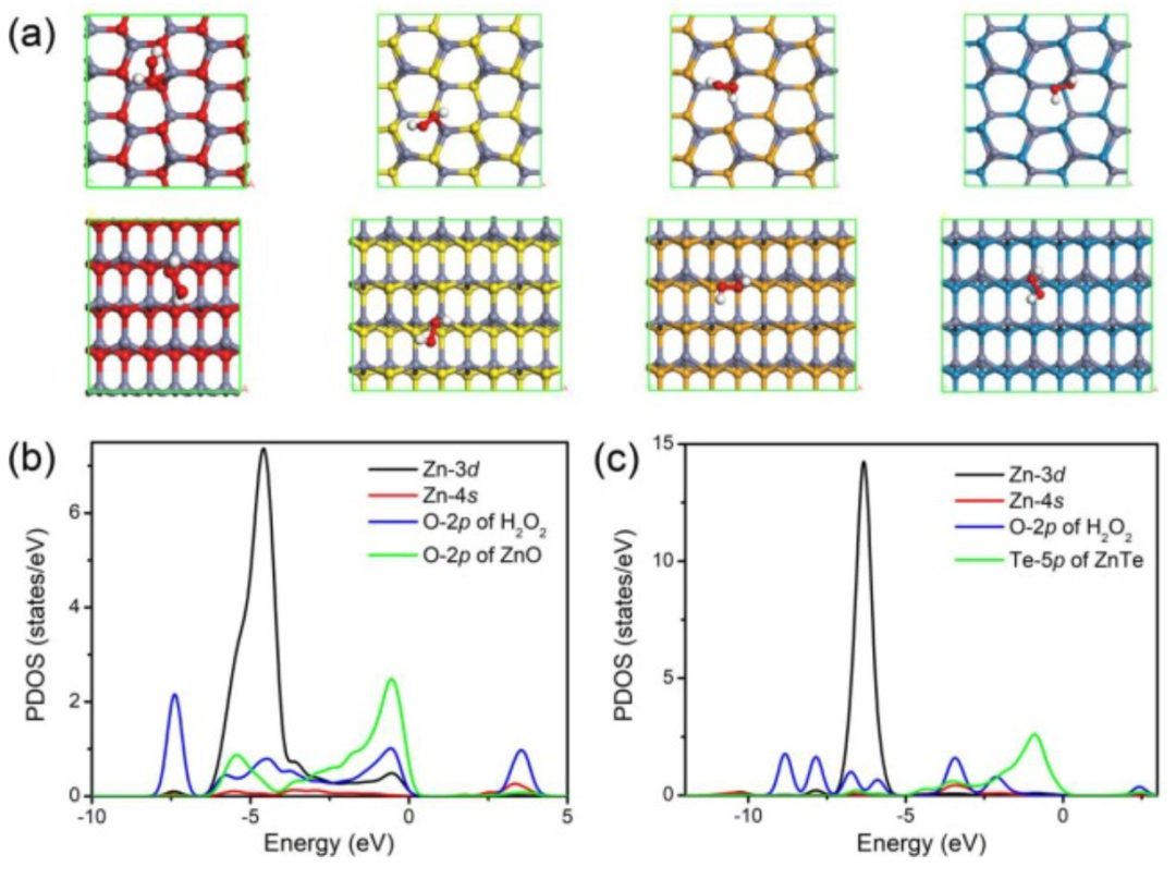 【DFT】Appl. Surf. Sci.：硫族化鋅上H2O2的高效解離和形成