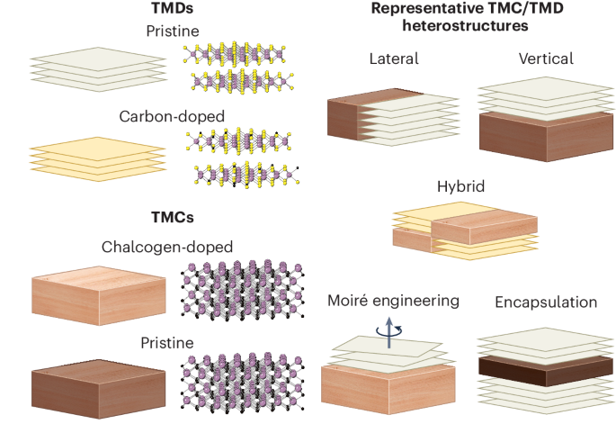 Nature Materials綜述: 揭秘二維材料的新奇跡，金屬碳化物與硫?qū)倩锏漠愘|(zhì)結(jié)構(gòu)革命！