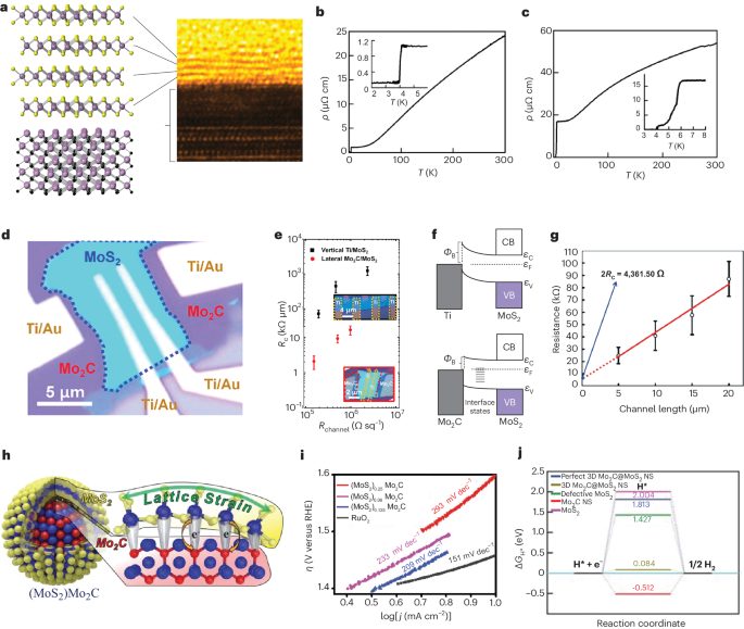 Nature Materials綜述: 揭秘二維材料的新奇跡，金屬碳化物與硫?qū)倩锏漠愘|(zhì)結(jié)構(gòu)革命！