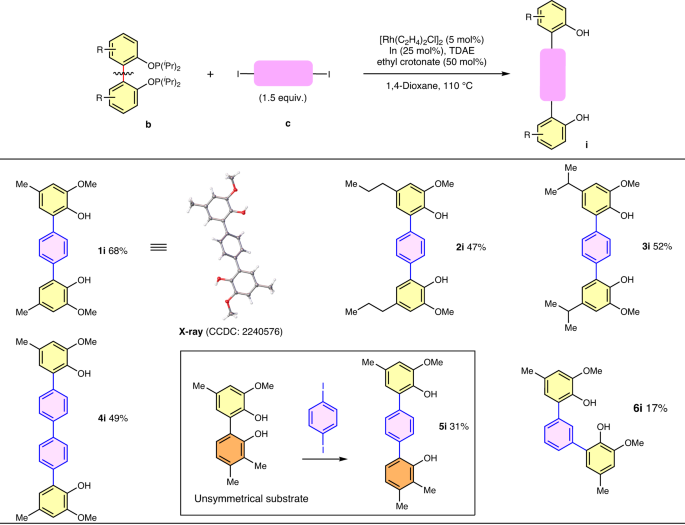 Nature Catalysis: 基于銠催化的非應(yīng)變芳基-芳基鍵活化的分裂交叉偶聯(lián)策略