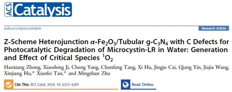 ?湖大/中南林科大ACS Catalysis：構(gòu)建α-Fe2O3/TDCN Z型異質(zhì)結(jié)，探究臨界物種1O2的產(chǎn)生及其效應(yīng)