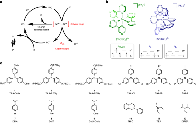 ?Nature Chemistry：光催化效率提升關(guān)鍵，逃逸現(xiàn)象如何重塑反應(yīng)速率？