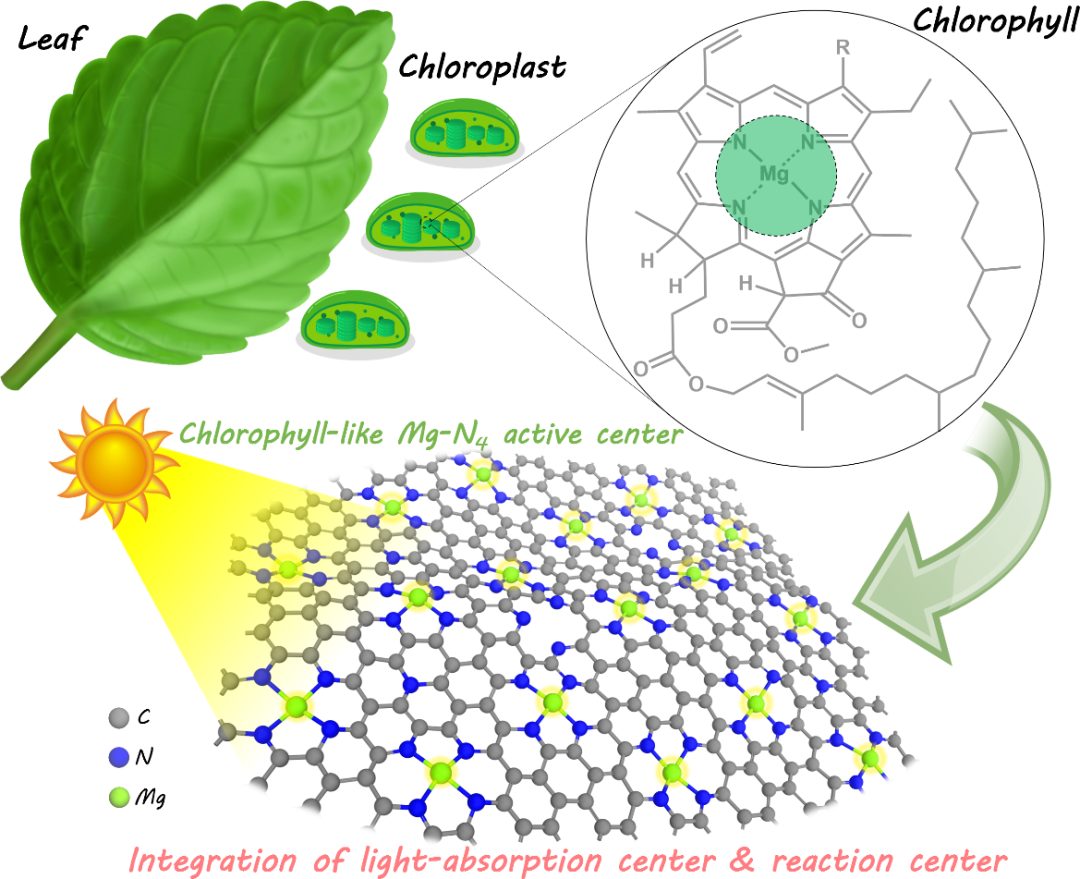 CCS Chemistry：類葉綠素仿生酶Mg-N4結(jié)構(gòu)高效光催化CO2化學(xué)固定