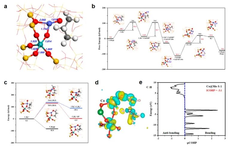 ?于吉紅/梅東海/孫啟明JACS: 三配位單原子Co錨定在Mo摻雜Si分子篩中，實(shí)現(xiàn)高效穩(wěn)定催化丙烷脫氫