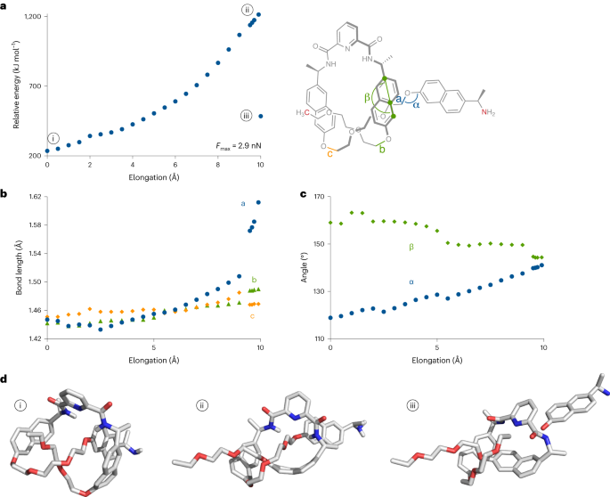 華東師范大學，重磅Nature Chemistry！