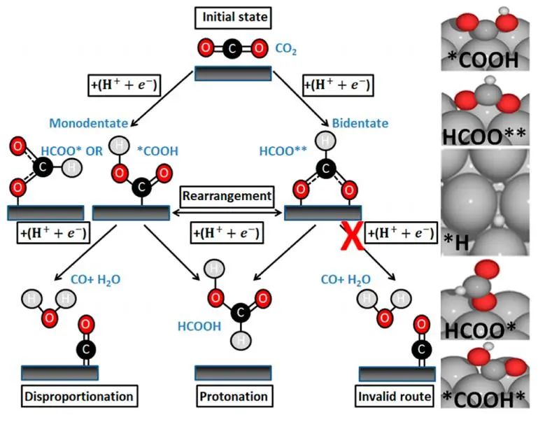 ACS Catalysis：電化學(xué)CO2RR中選擇性生成CO與HCOOH的新見(jiàn)解