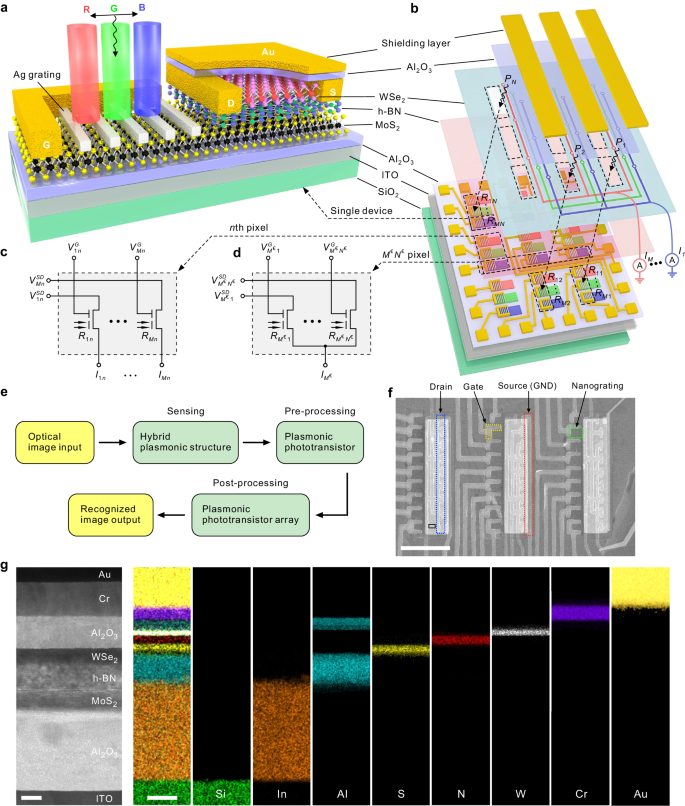 浙江大學(xué)，最新Nature子刊！