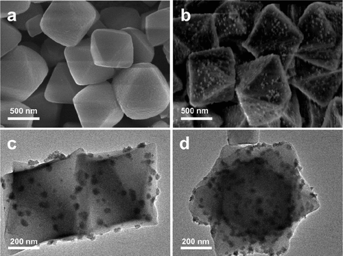 中科大江海龍團(tuán)隊(duì)，最新JACS！