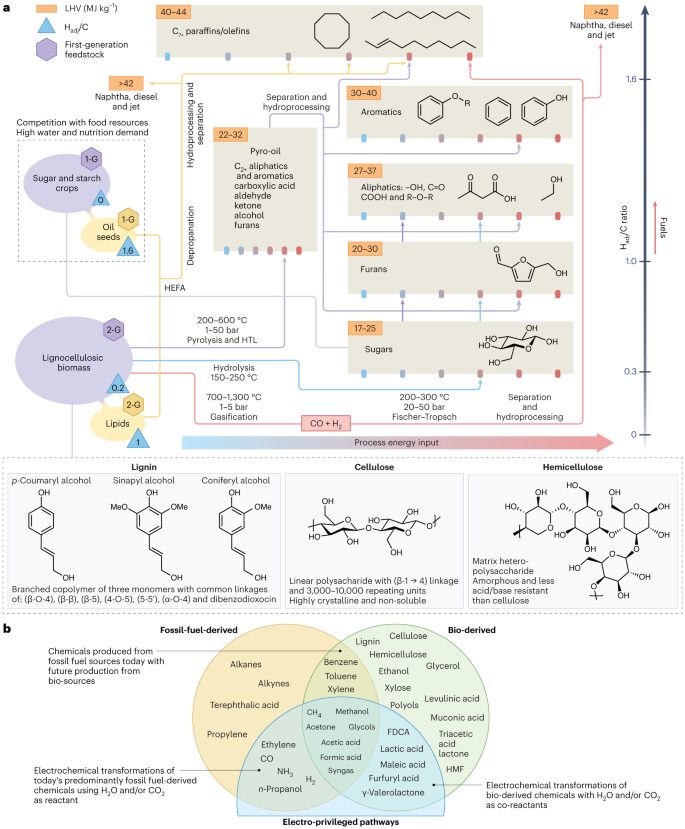 Edward H. Sargent大佬，最新Nature Catalysis！