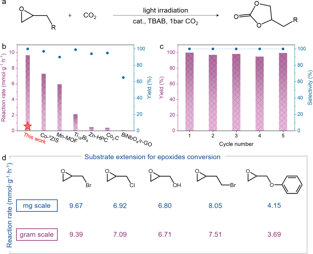 CCS Chemistry：類葉綠素仿生酶Mg-N4結(jié)構(gòu)高效光催化CO2化學(xué)固定