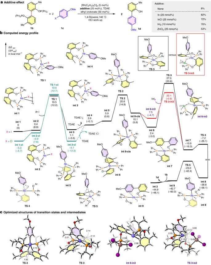 Nature Catalysis: 基于銠催化的非應(yīng)變芳基-芳基鍵活化的分裂交叉偶聯(lián)策略