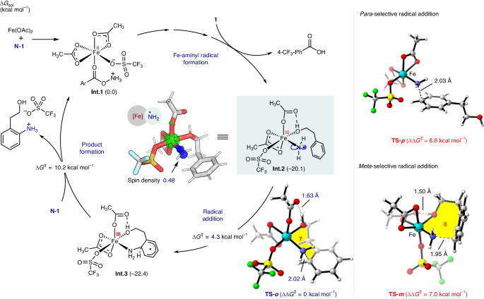 南開/天大，重磅Nature Catalysis！實(shí)現(xiàn)高度鄰位選擇性的催化合成新策略！