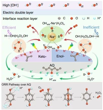 上海交大學(xué)Nature子刊：酮協(xié)同蒽醌，促進堿性條件下H2O2光合成