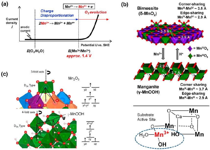 IF=46.2！Chem. Soc. Rev.最新綜述：過渡金屬基電催化劑OER各種機制！