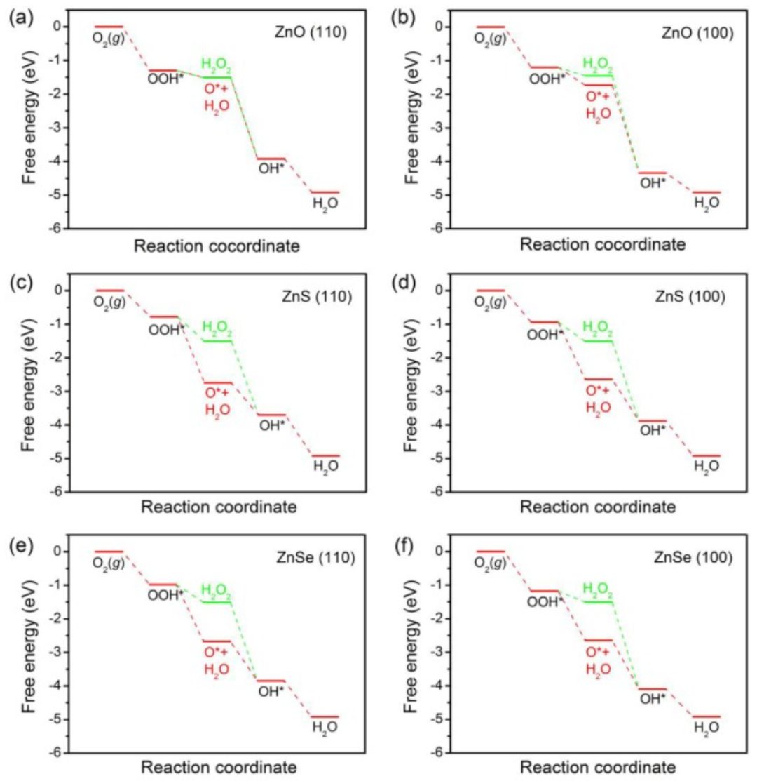 【DFT】Appl. Surf. Sci.：硫族化鋅上H2O2的高效解離和形成