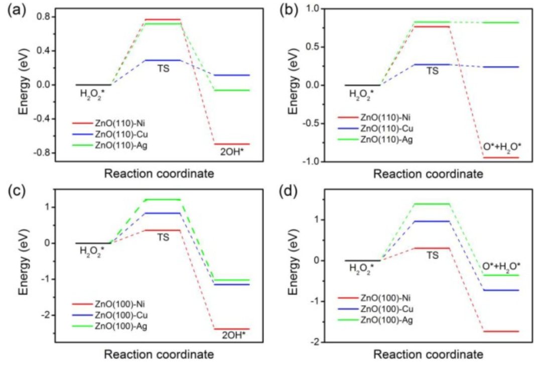 【DFT】Appl. Surf. Sci.：硫族化鋅上H2O2的高效解離和形成