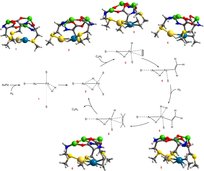 Nature Catalysis: MOF支撐的Pd1-Au1二聚體實現(xiàn)乙炔高效半加氫