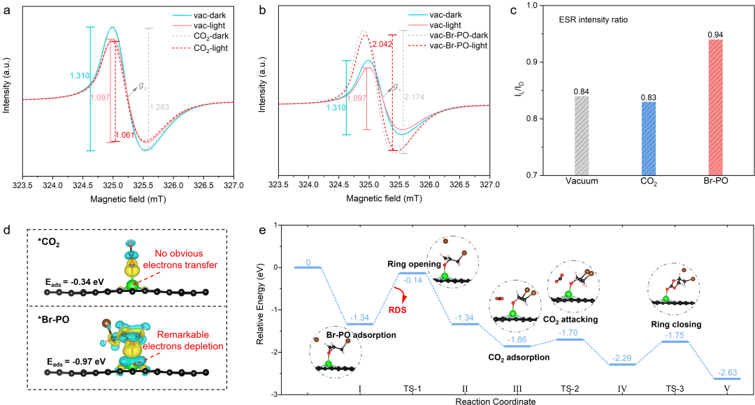 CCS Chemistry：類葉綠素仿生酶Mg-N4結(jié)構(gòu)高效光催化CO2化學(xué)固定