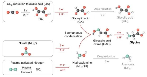 化學(xué)所JACS: OA和NO3?/NOx在Fe-N-C上共還原，顯著促進(jìn)甘氨酸電合成