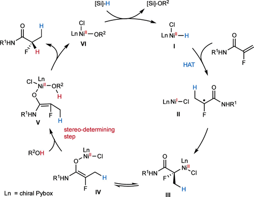 北京大學(xué)/東華大學(xué)JACS：鎳催化的不對(duì)稱自由基轉(zhuǎn)移策略