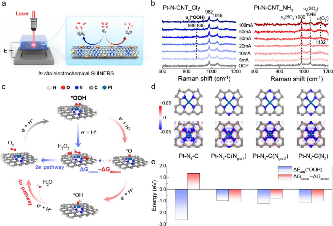 上海交大，最新JACS！