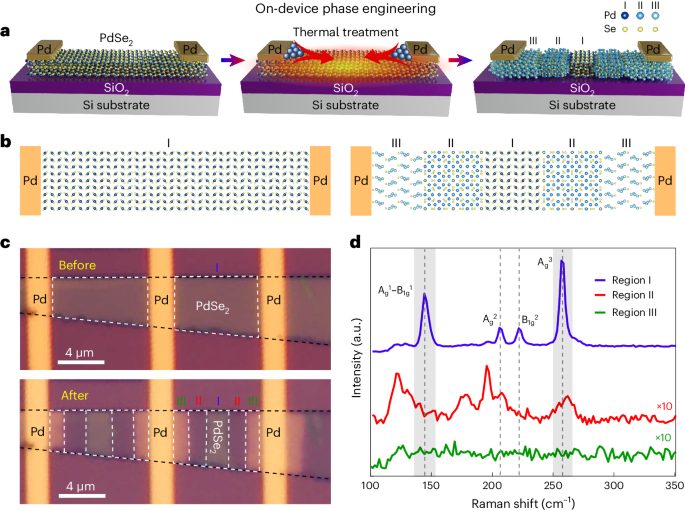 南京大學(xué)，最新Nature Materials！