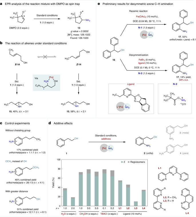 南開/天大，重磅Nature Catalysis！實(shí)現(xiàn)高度鄰位選擇性的催化合成新策略！