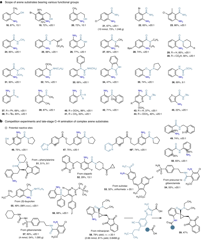 南開/天大，重磅Nature Catalysis！實(shí)現(xiàn)高度鄰位選擇性的催化合成新策略！