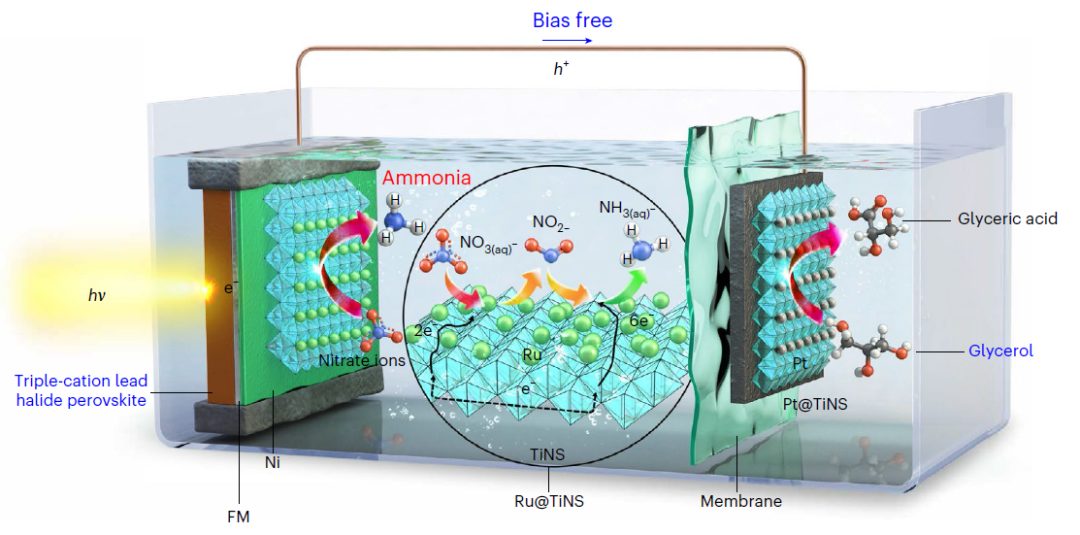 Nature Catalysis: 無偏壓太陽能光催化合成氨與甘油氧化