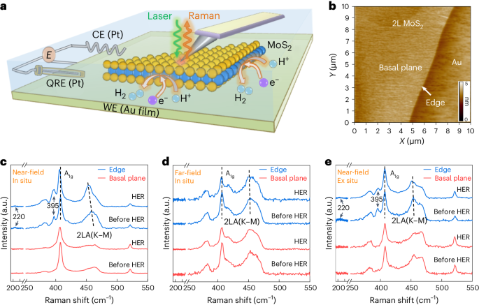 王翔/任斌/譚平恒Nature Catalysis：MoS2電催化析氫反應(yīng)中單個活性位點(diǎn)的可視化結(jié)構(gòu)演變