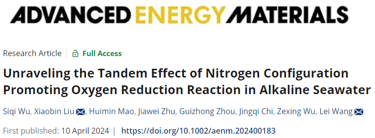 王磊/劉曉斌AFM：揭示堿性海水中氮構(gòu)型促進(jìn)氧還原反應(yīng)的串聯(lián)效應(yīng)