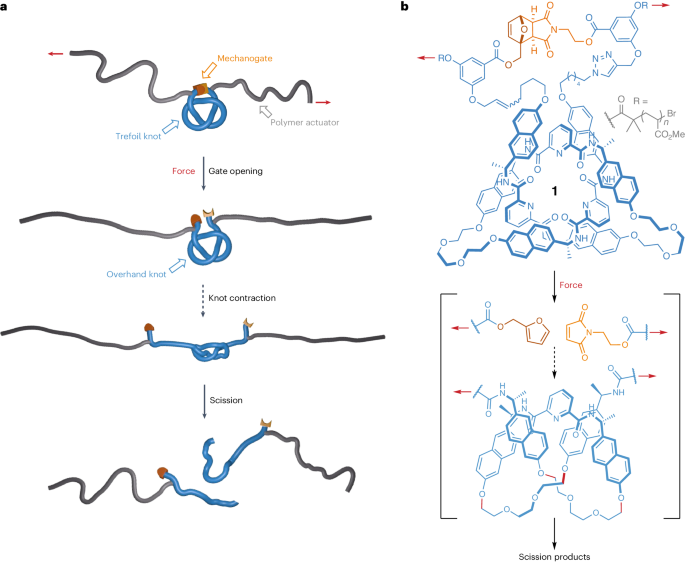 華東師范大學，重磅Nature Chemistry！