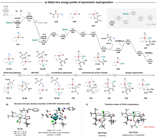 北京大學(xué)/東華大學(xué)JACS：鎳催化的不對(duì)稱自由基轉(zhuǎn)移策略