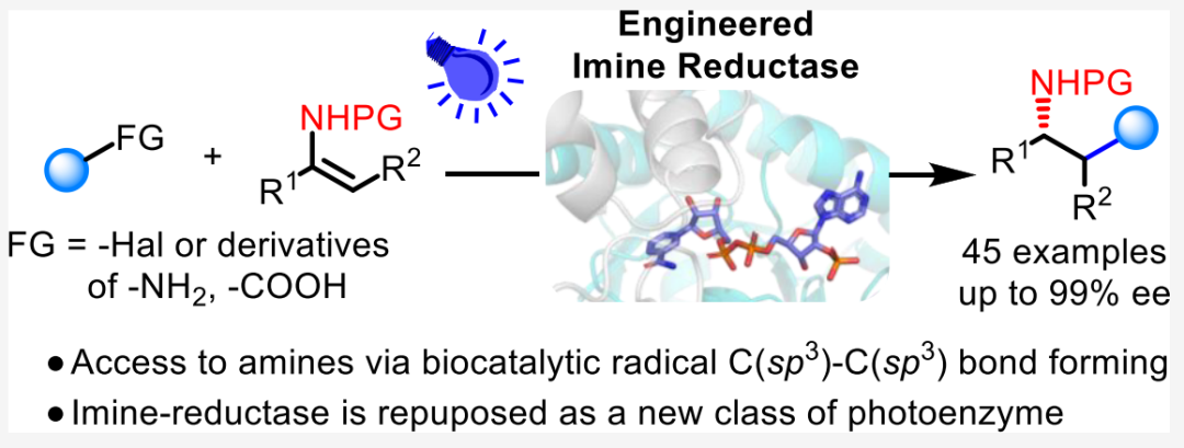 廈大王斌舉/南大黃小強(qiáng)，最新JACS！