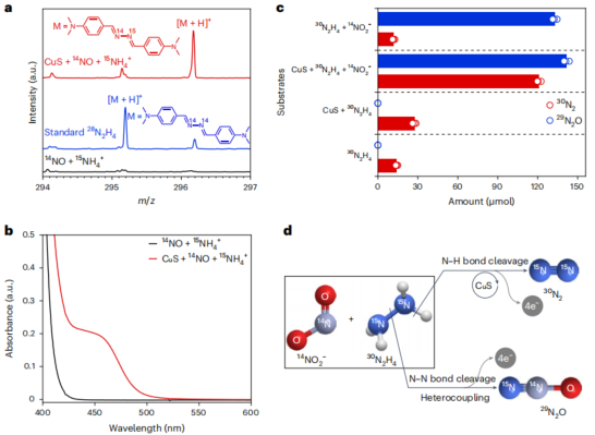 「國家高層次青年人才」一作兼通訊，重磅Nature Chemistry！