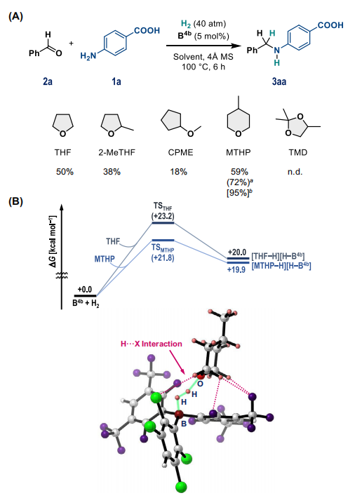 最新Nature子刊：計(jì)算化學(xué)+機(jī)器學(xué)習(xí)，確定最佳催化劑結(jié)構(gòu)！