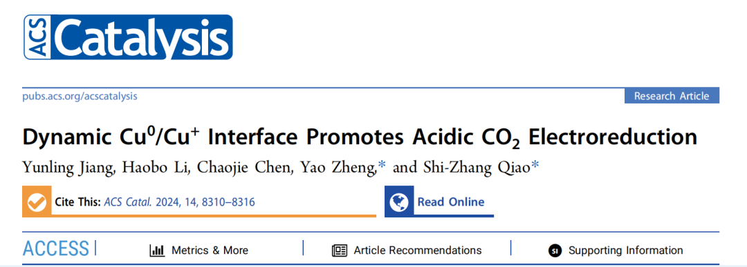 喬世璋?院士課題組，最新ACS Catalysis！