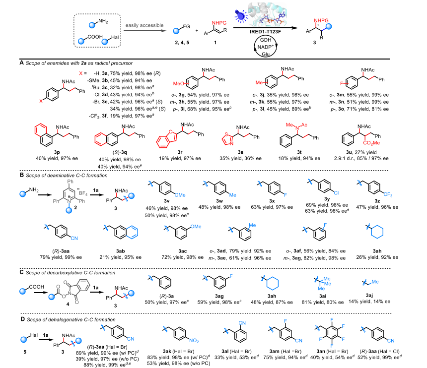 廈大王斌舉/南大黃小強(qiáng)，最新JACS！