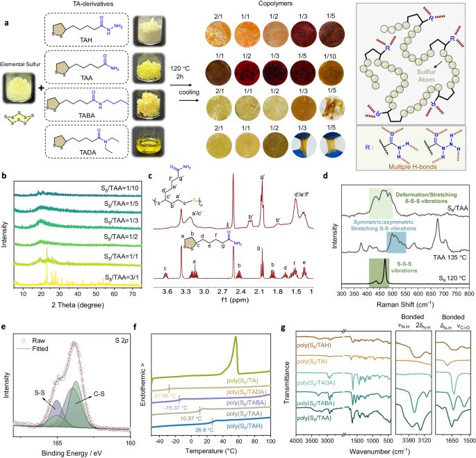 華東理工大學(xué)&諾獎(jiǎng)得主，最新Nature子刊！