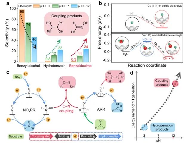 湖南大學(xué)JACS：原位/異位表征結(jié)合理論計(jì)算，篩選出合適材料用于直接電合成肟