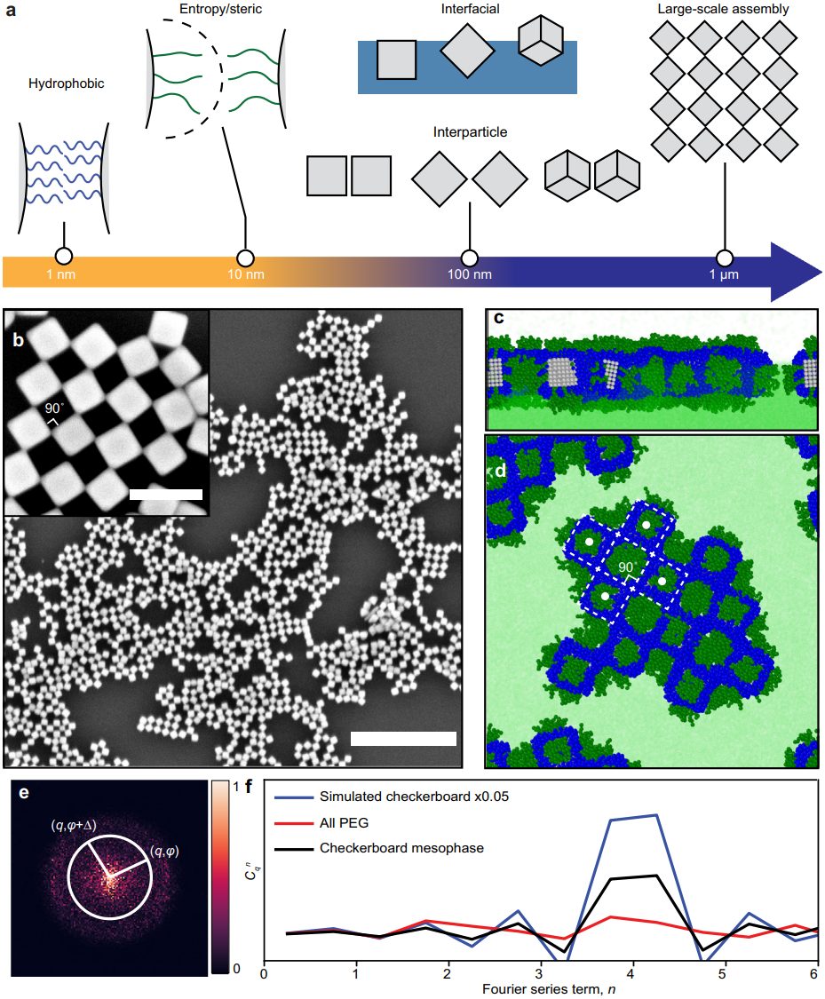 最新Nature子刊：理論計(jì)算引導(dǎo)，納米晶自組裝策略！