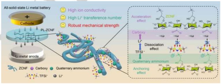 廈門大學(xué)王鳴生Angew：水系澆鑄法革新固態(tài)電解質(zhì)