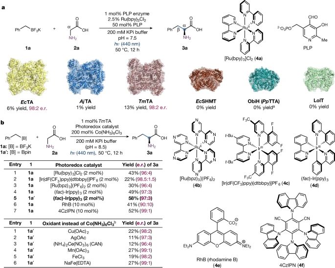 楊揚/劉鵬強強聯(lián)合！Science之后，再發(fā)Nature！