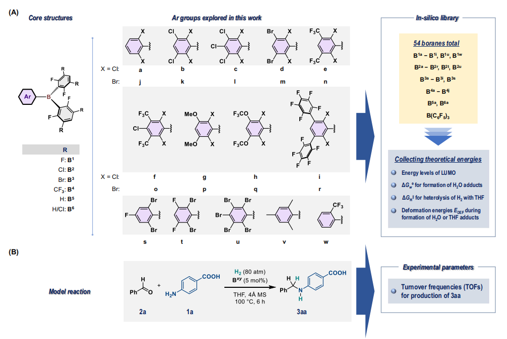 最新Nature子刊：計(jì)算化學(xué)+機(jī)器學(xué)習(xí)，確定最佳催化劑結(jié)構(gòu)！