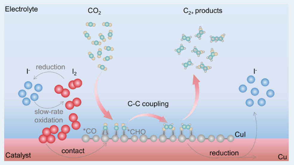 喬世璋?院士課題組，最新ACS Catalysis！