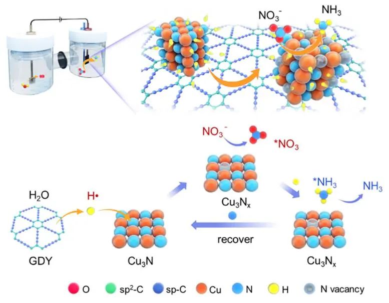 北京大學(xué)張錦院士，最新JACS！