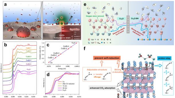 IF=46.2！海南大學(xué)田新龍/鄧培林，最新Chemical Society Reviews綜述！